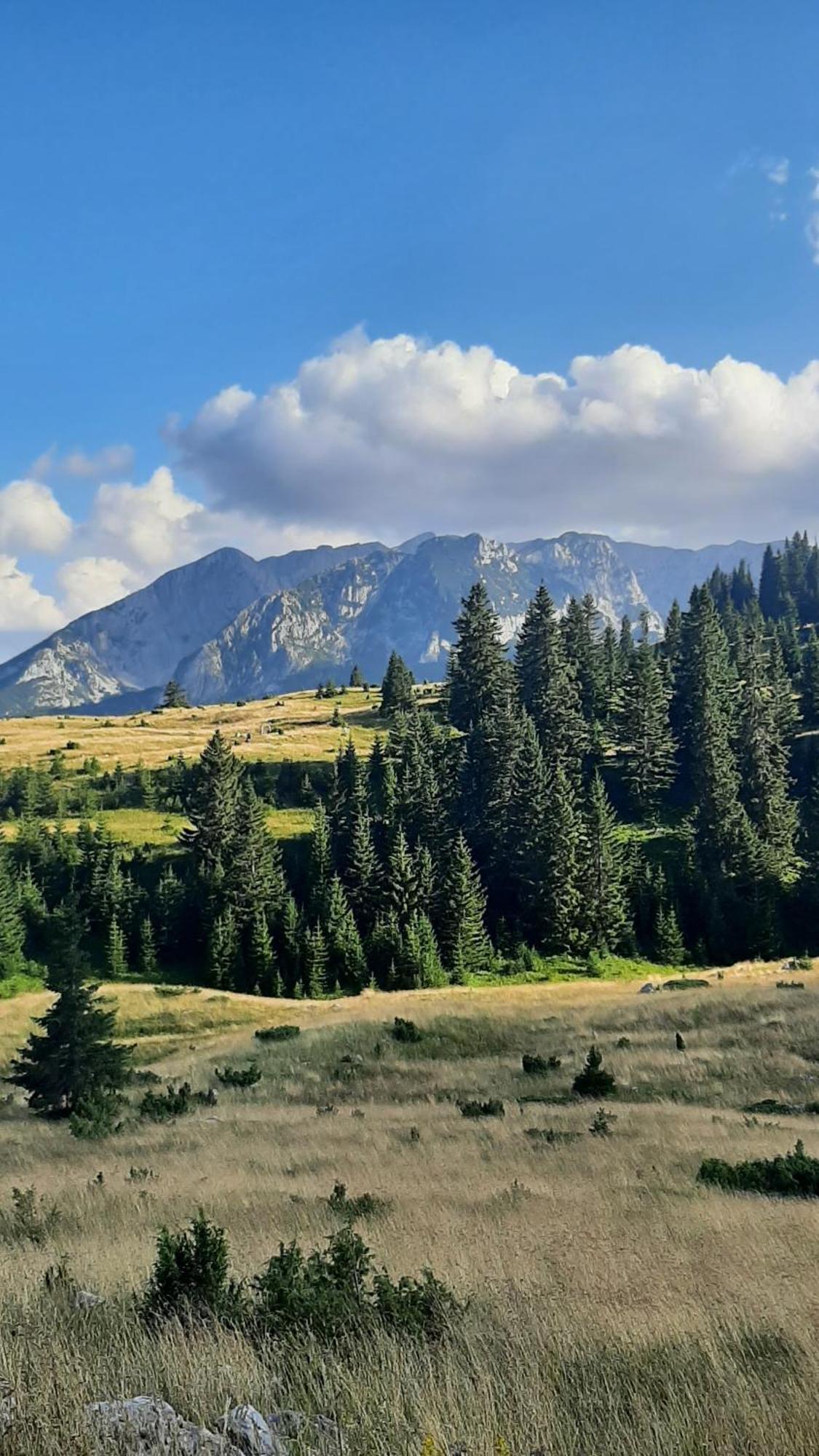 Apartments Durmitor Жабляк Экстерьер фото